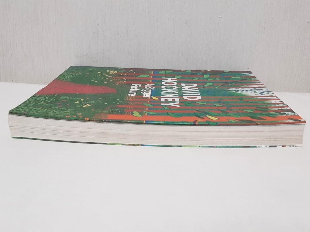 David Hockney A Bigger Picture ホックニー 英語版