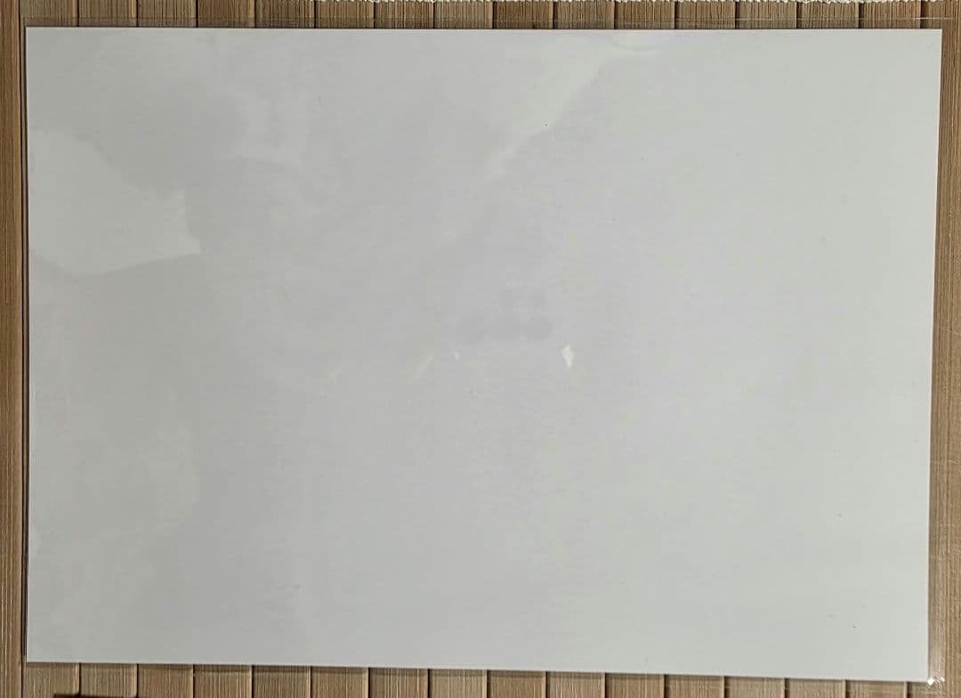 コミックアライブ 購入特典 ペーパーペンシルボード ⑤
