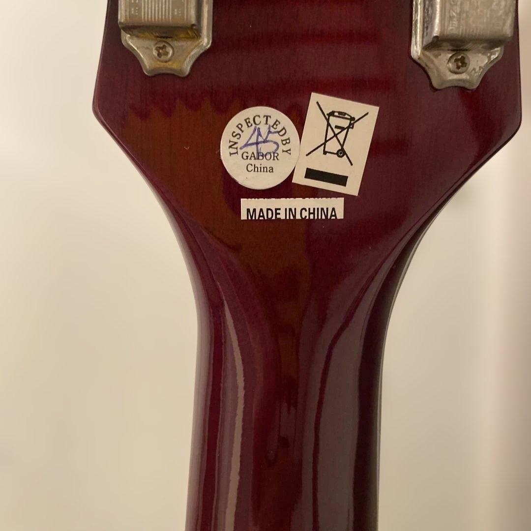 【送料無料】Epiphone アコースティックギター　PRO-1 Plus WR
