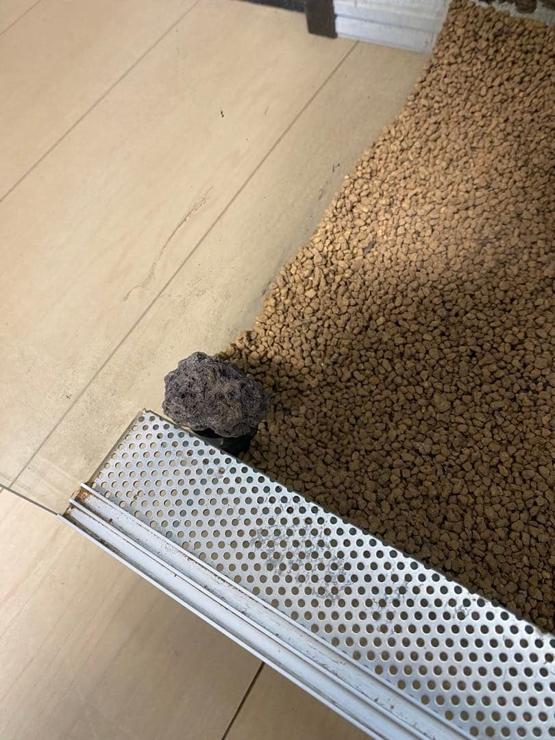 パルダリウム　ビバリウム　水槽セット